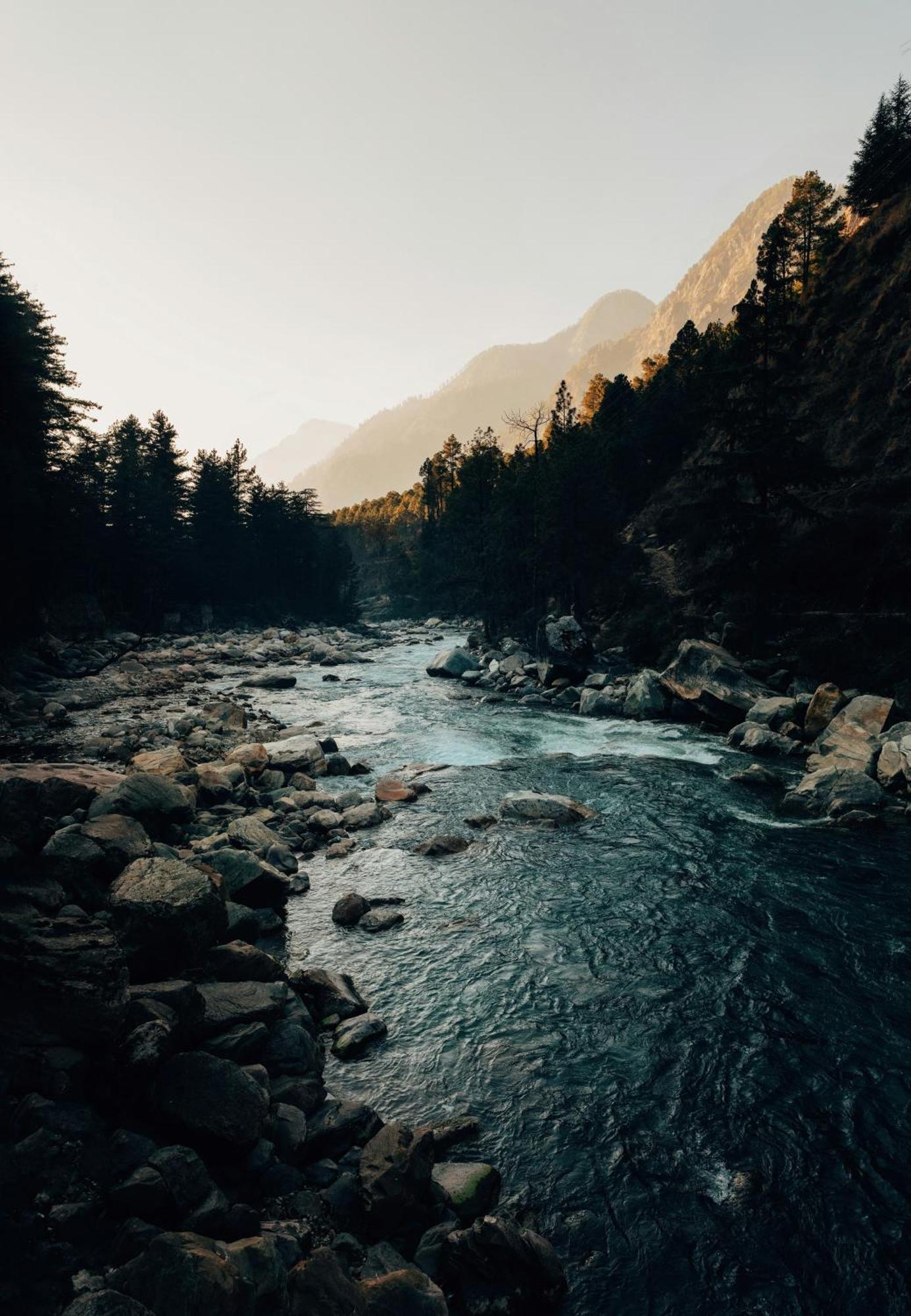 Hostel 360 Degree, Riverside Stay, Old Manali Exteriör bild